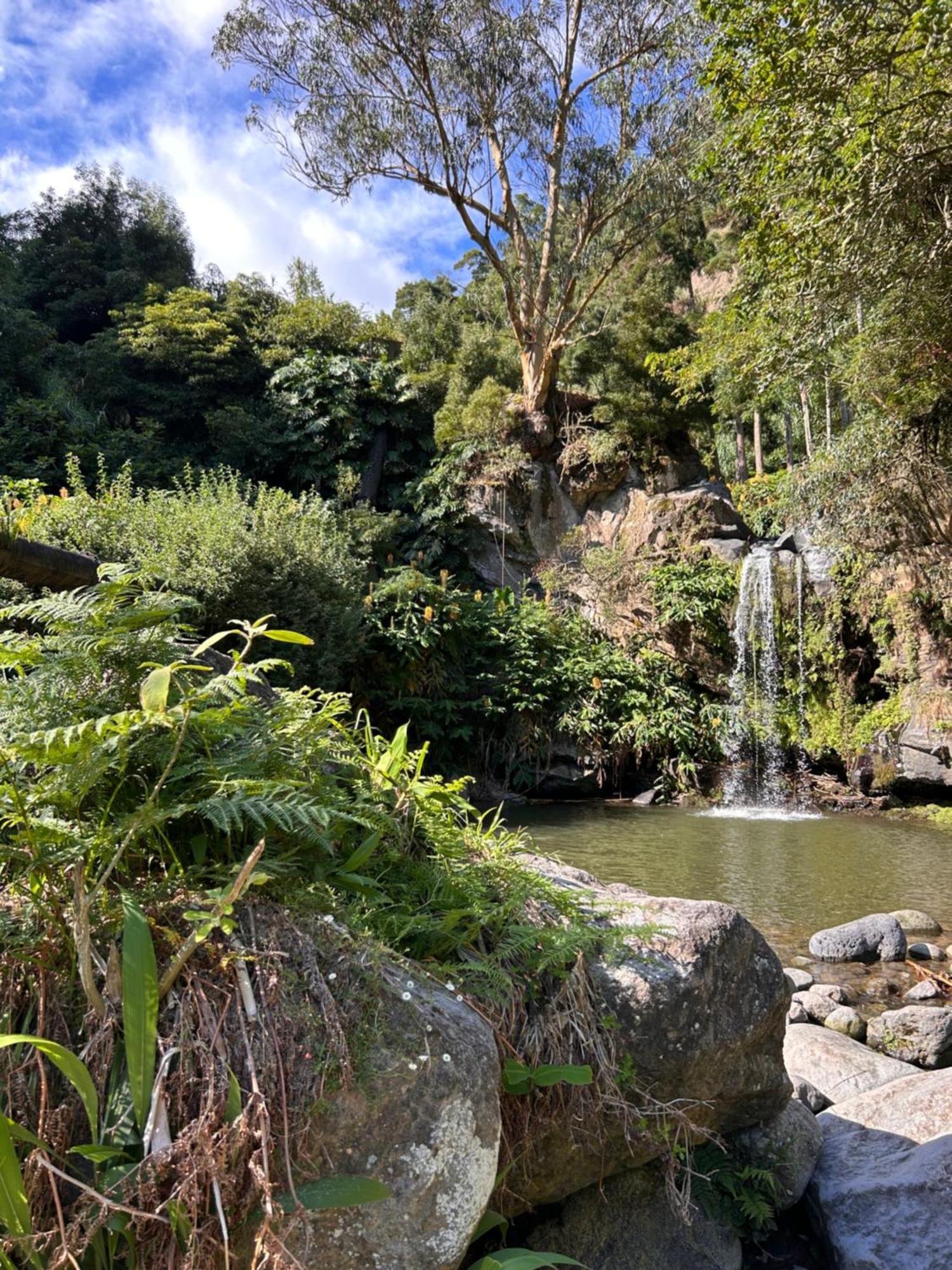 Eco Surflodge Azores Ribeira Grande Kültér fotó